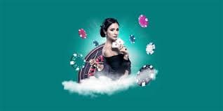 q777 টিমের কার্যক্রম ও পরিকল্পনা